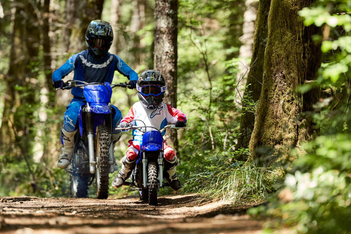 2026 Yamaha PW 50